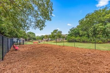 Dog park
